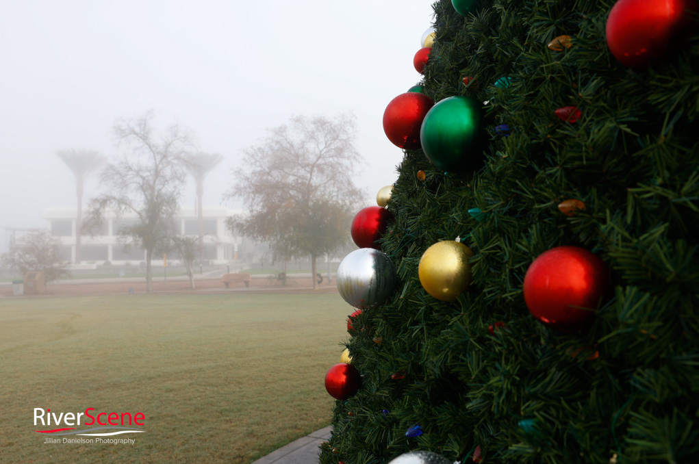 London Bridge Lake Havasu Fog RiverScene Magazine Jillian Danielson Photography
