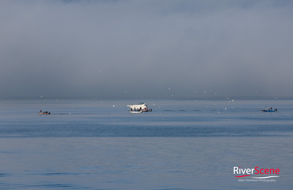 Colorado River Lake Havasu Fog RiverScene Magazine Jillian Danielson Photography