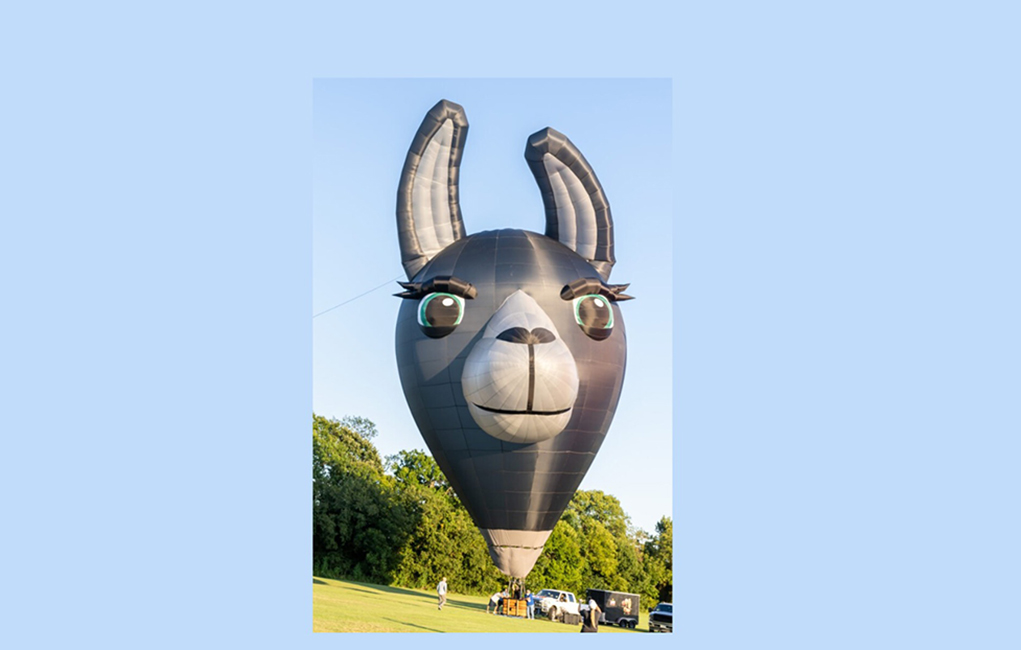 Special Shapes Bring Joy To Havasu Balloon Festival And Fair