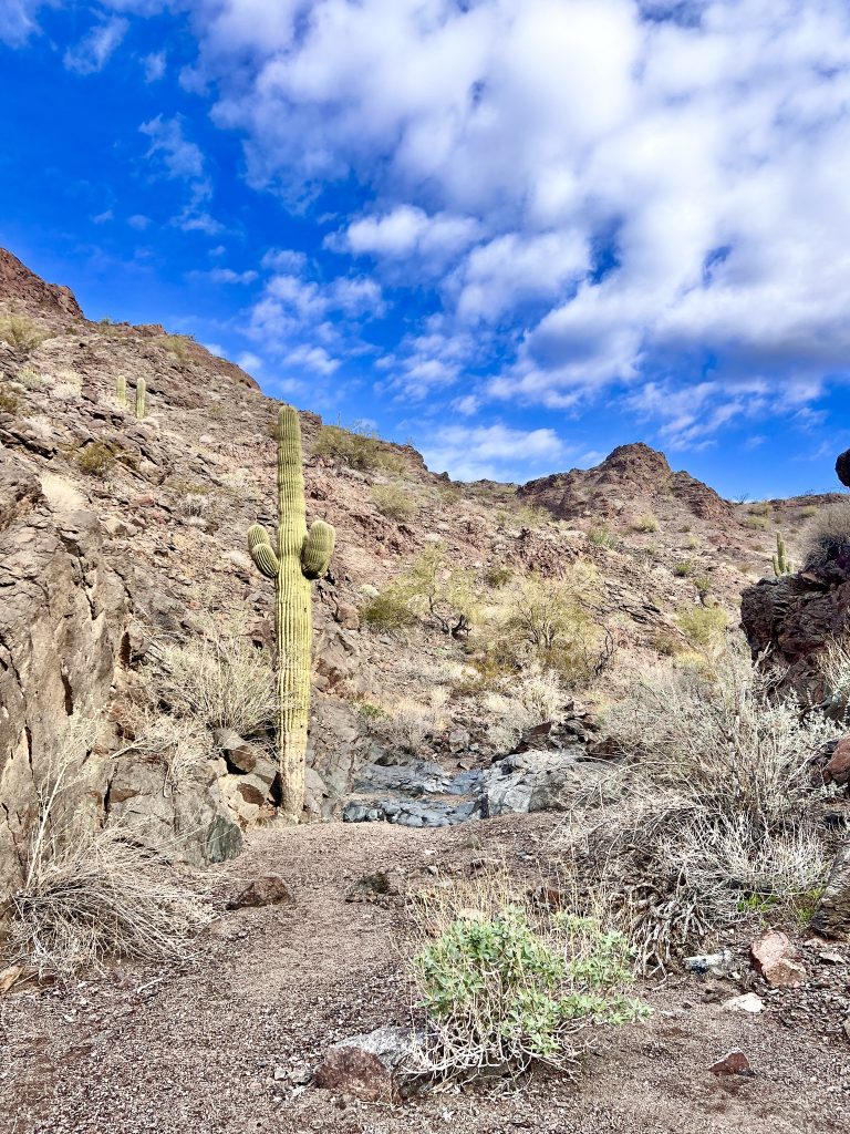 January Charged Up Hike
