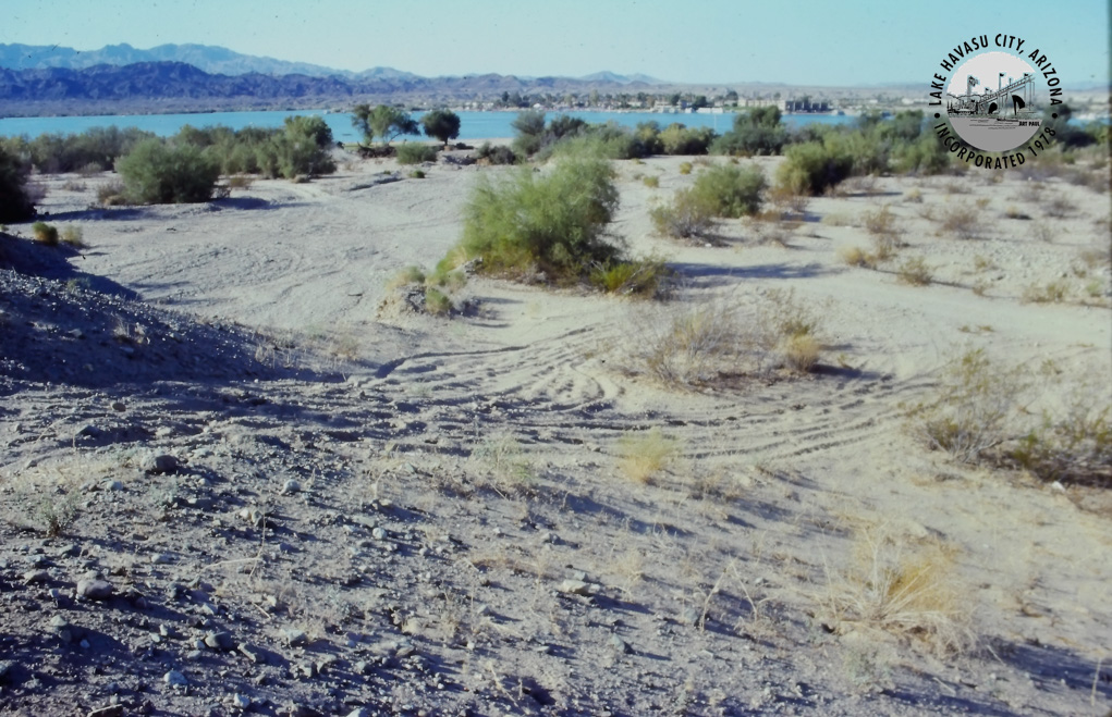 Lake Havasu City RiverScene Magazine Rotary Park