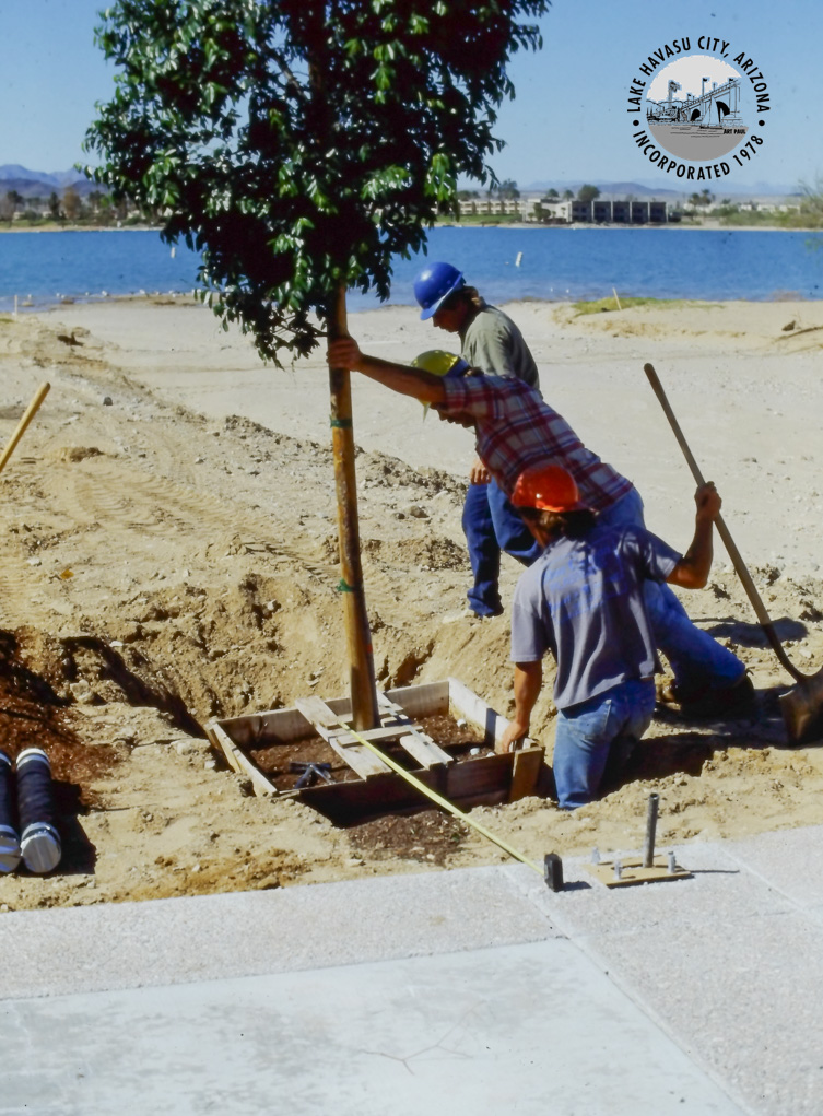 Lake Havasu RiverScene Magazine Rotary Park
