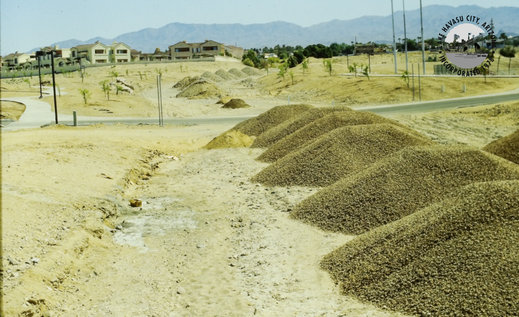 Lake Havasu City RiverScene Magazine Rotary Park