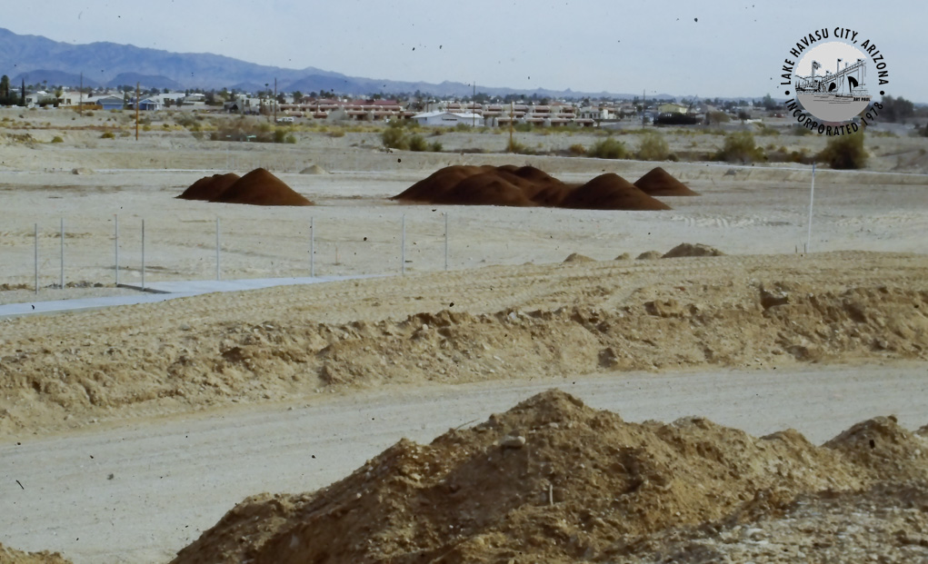 Lake Havasu City RiverScene Magazine Rotary Park