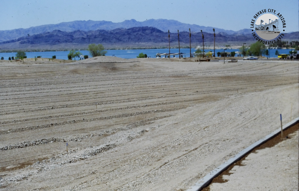 Lake Havasu City RiverScene Magazine Rotary Park