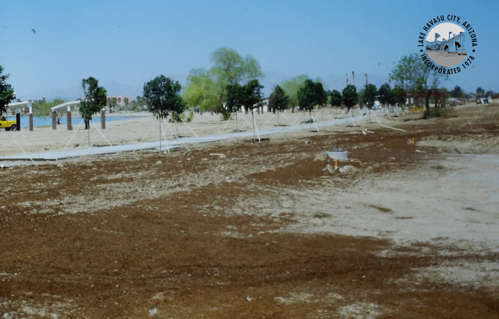 Lake Havasu City RiverScene Magazine Rotary Park