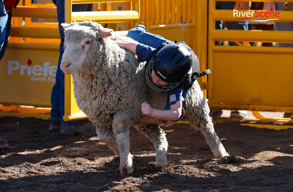 GCPRA Rodeo Lake Havasu 