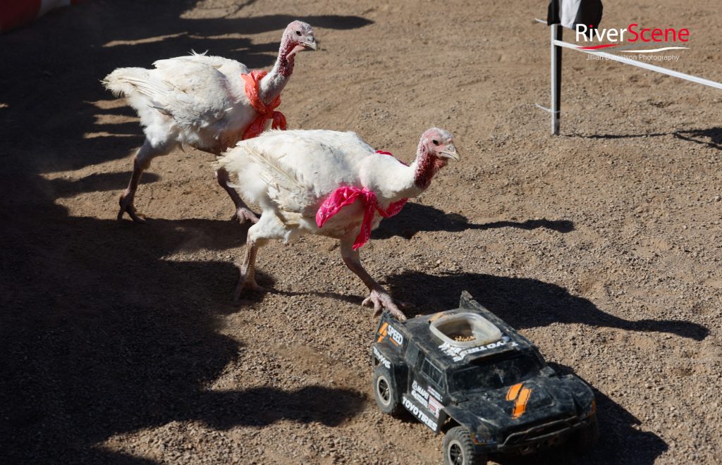 GCPRA Rodeo Lake Havasu 