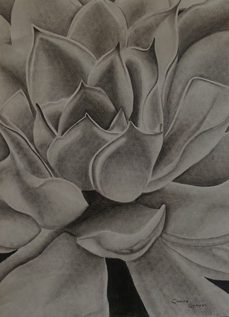 Camila Cuevas' Artwork