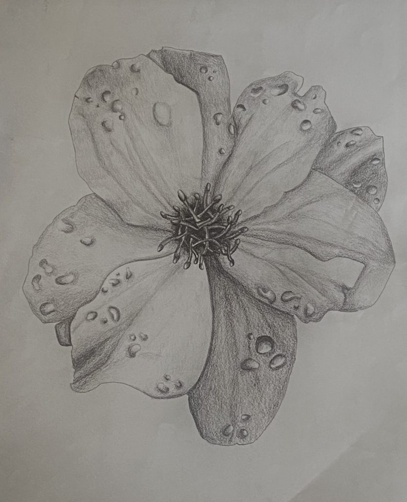 Camila Cuevas' Artwork