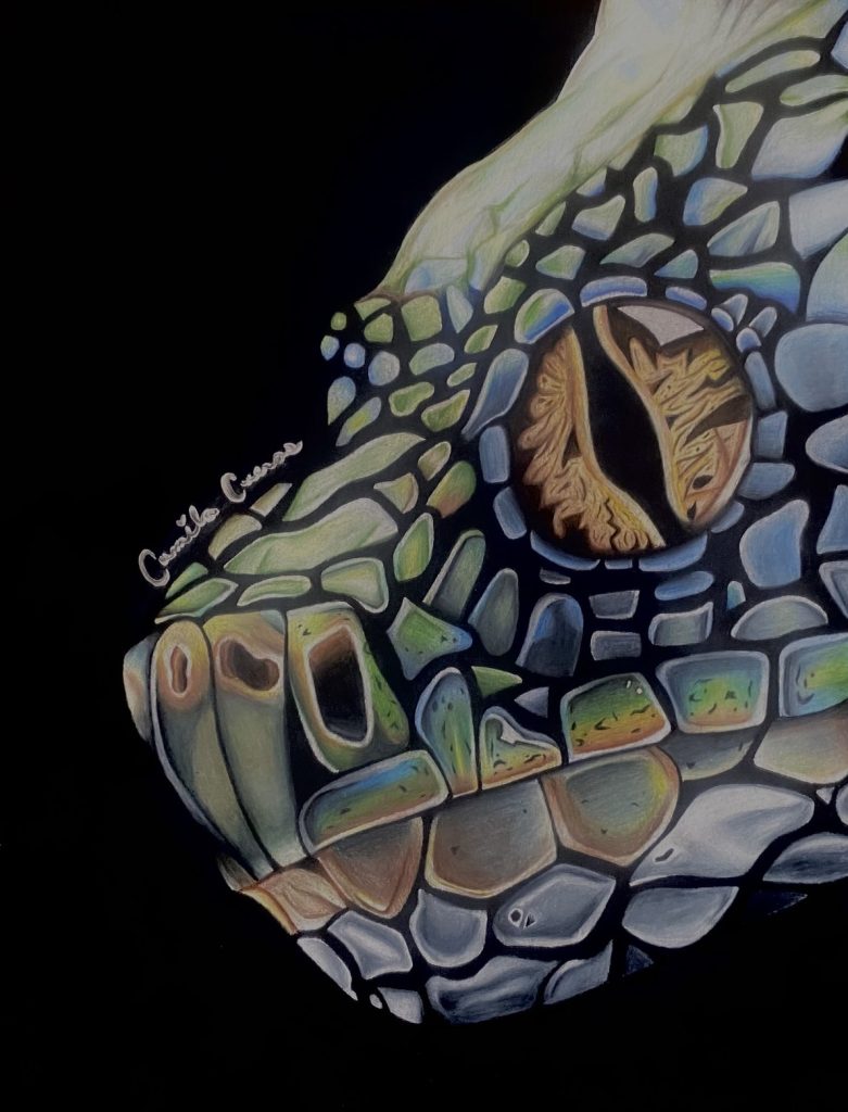 Camila Cuevas' Artwork