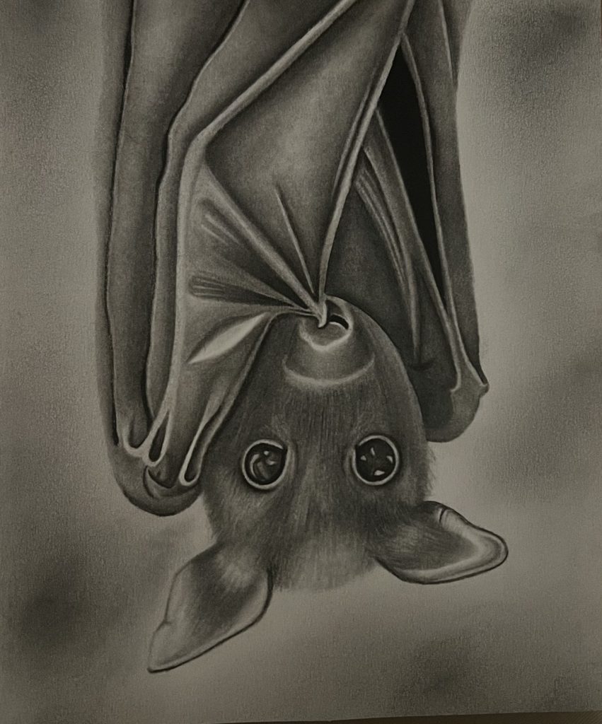 Camila Cuevas' Artwork