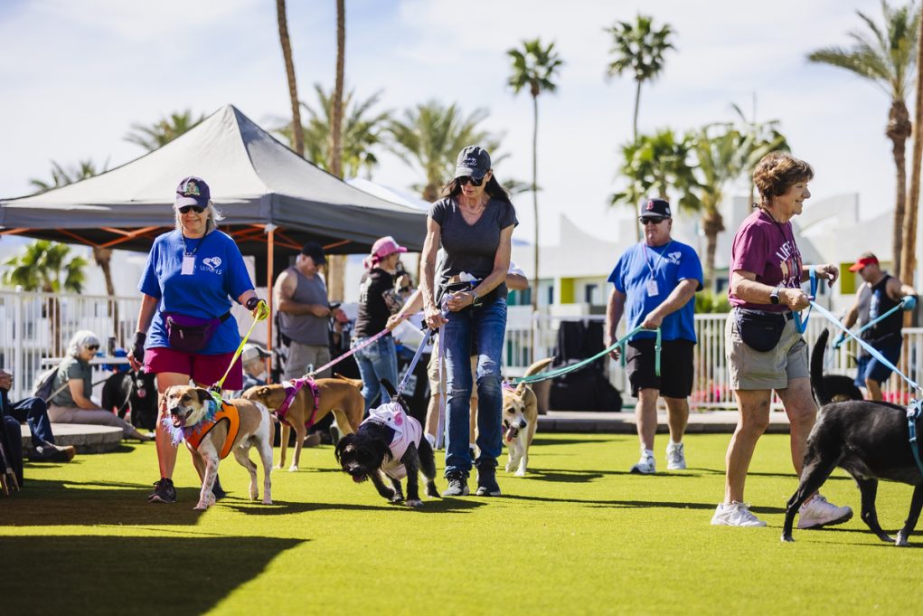 Barkfest 2026 Catered To Happy Dogs