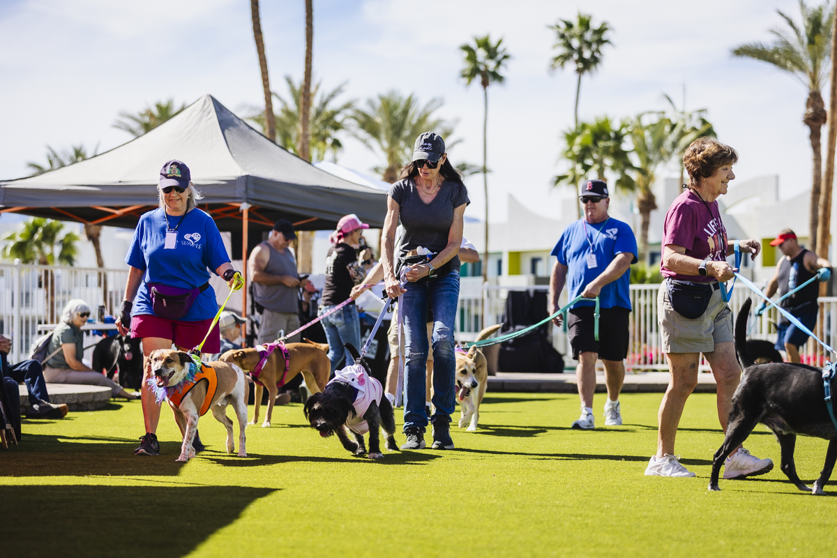 Barkfest 2026 Catered To Happy Dogs