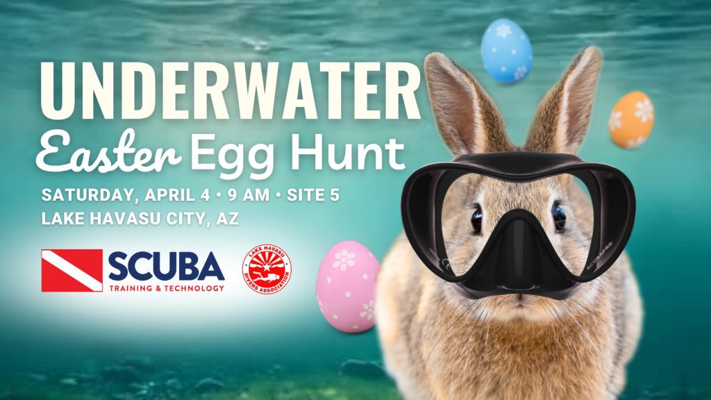 SCUBA Egg Hunt Lake Havasu RiverScene