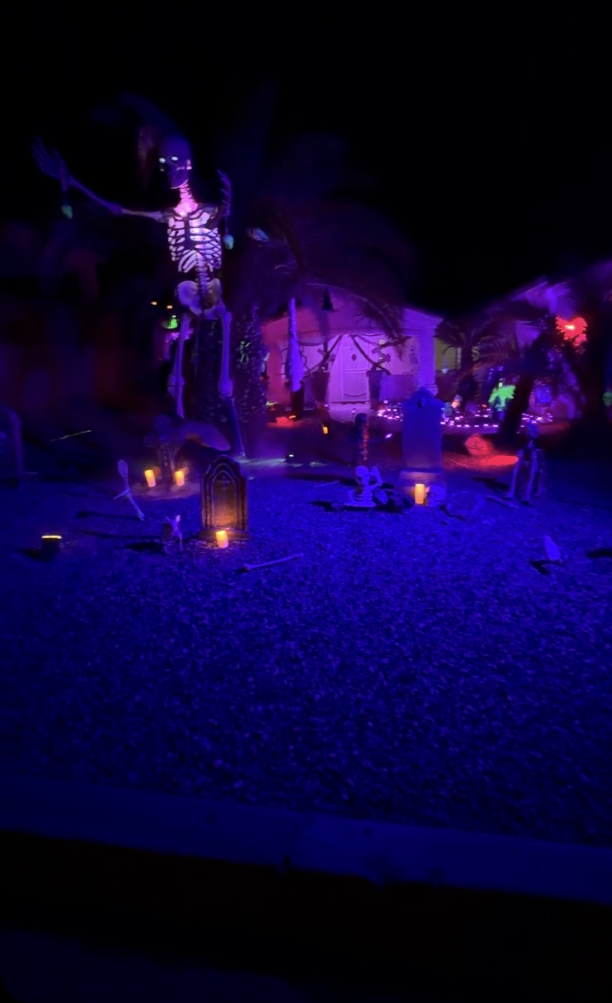 The Coven